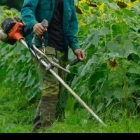 علف چینی باغ وباغچه با دستگاه