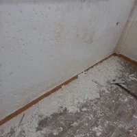 گچکاری وسفیدکاری|خدمات پیشه و مهارت|احمدسرگوراب, |دیوار