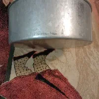 قالب های کیک پزی|ظروف پختوپز|گرگان, |دیوار