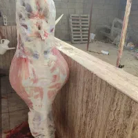کهره و بره موجود