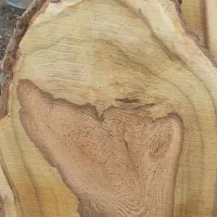 چوب درخت توت