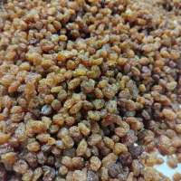 کشمش زرد و طلایی|خوردنی و آشامیدنی|شیروان (خراسان), |دیوار