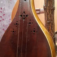 سه تار تک مهر مفاخری