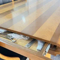 نهارخوری ۸نفره|میز و صندلی غذاخوری|صفادشت, |دیوار