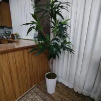 درخچه مصنوعی