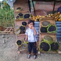 عکاسی و تصویربرداری