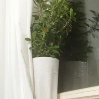 اجاره خانه اپارتمان