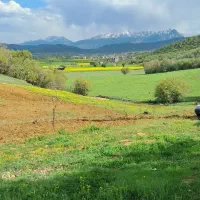 اجاره زمین کشاورزی