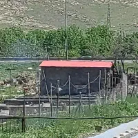 استخر پرورش. ماهی  یمخا شراکت  یا اجاره. ای.