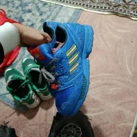 کتونی zx لگو آبی