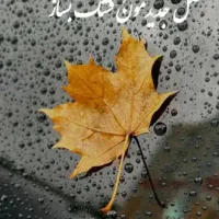 شغلی در خانه