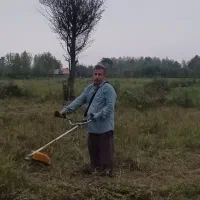 خدمات چمن زنی و علف زنی