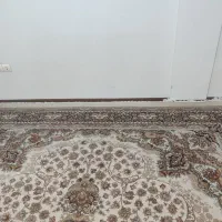 فرش دوازده متری محکم و سالم|فرش|قم, پردیسان|دیوار