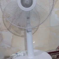پنکه رومیزی|پنکه و تصفیه‌کنندهٔ هوا|بندر گناوه, |دیوار