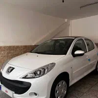 ۲۰۷ پانا ارتقا خشک