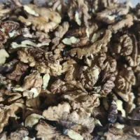 مغز گردو