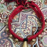 قورچه|لوازم جانبی حیوانات|فلاورجان, |دیوار