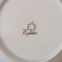 چینی|ظروف سرو و پذیرایی|پاکدشت, پاکدشت (مامازند)|دیوار