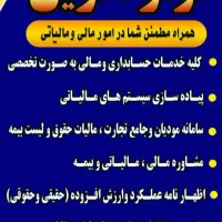 ارائه دهنده ی خدمات حسابداری و مالیاتی تخصصی