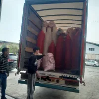 باربری و اثاث کشی با کارگران حرفه ای|خدمات حمل و نقل|چمستان, |دیوار