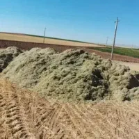 کاه لوبیا
