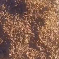 شبانه روزی خدمت شما عزیزان|حیوانات مزرعه|کرج, خرمدشت|دیوار