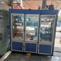 یخچال ایستاده مرغی  ۲متری