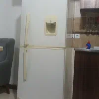 یخچال صحیح و سالم