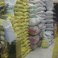 برنج فجر محلی نور آباد|خوردنی و آشامیدنی|تهران, دکتر هوشیار|دیوار