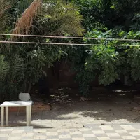 خوابگاه دخترانه با اینترنت رایگان-تخت پایین|اجارهٔ کوتاه‌مدت آپارتمان و سوئیت|شیراز, فرهنگ شهر|دیوار