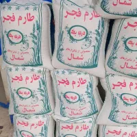 برنج هاشمی،سرلاشه هاشمی،طارم فجر