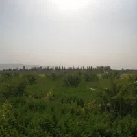 زمین باغی داخل مجموعه دارای اب برق گاز جاده جونجان