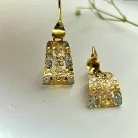 گوشواره پیدا شده