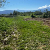 زمین بایر در روستای احمد سر گوراب|فروش زمین و ملک کلنگی|احمدسرگوراب, |دیوار