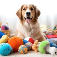 پت شاپ مرسی پت