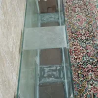 آکواریوم