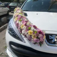 ماشین عروس|خدمات پذیرایی، مراسم|قم, قلعه یزدیها|دیوار