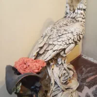 یک عددمجسمه وگلدان  فوقالعاده تمیز