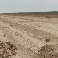 فروش زمین پنج هزار متر زمین کشاورزی|فروش زمین و ملک کلنگی|شاهینشهر, گرگاب|دیوار