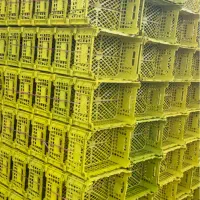 تولید و پخش ظروف پلاستیکی