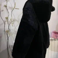پالتو خز|لباس|کرج, جهان‌شهر|دیوار