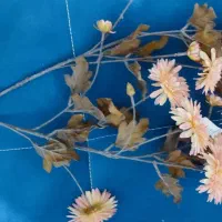 گل وگلدان|گل مصنوعی|مهاباد (آذربایجان غربی), |دیوار