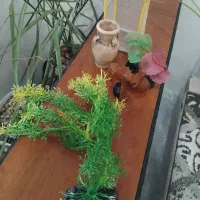 آکواریوم با لوازم