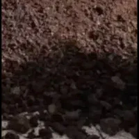 کودحیوانی پیکان وانت یک 500