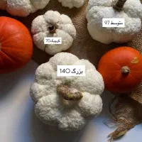 کدوی دکوری|صنایع دستی و سایر لوازم تزئینی|همدان, |دیوار