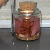 شمع آکواریوم