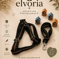 قلاده و  برس و شانه برای پت