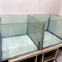 آکواریوم ۵۰ در ۵۰