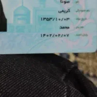 کارت ملی و کارت بانکی پیدا شده