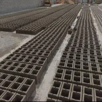 نیازمند اسابلوک زن بانیرو.